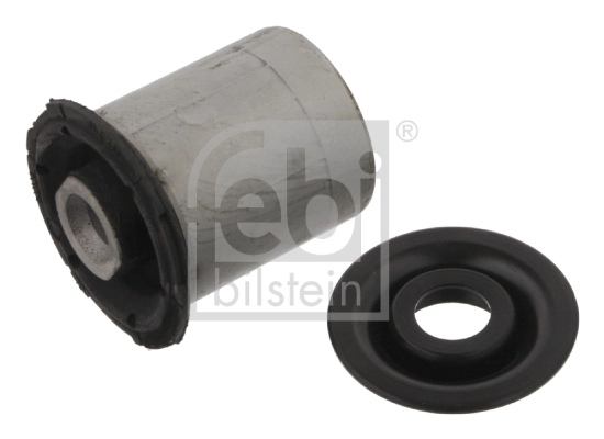 Mounting, control/trailing arm